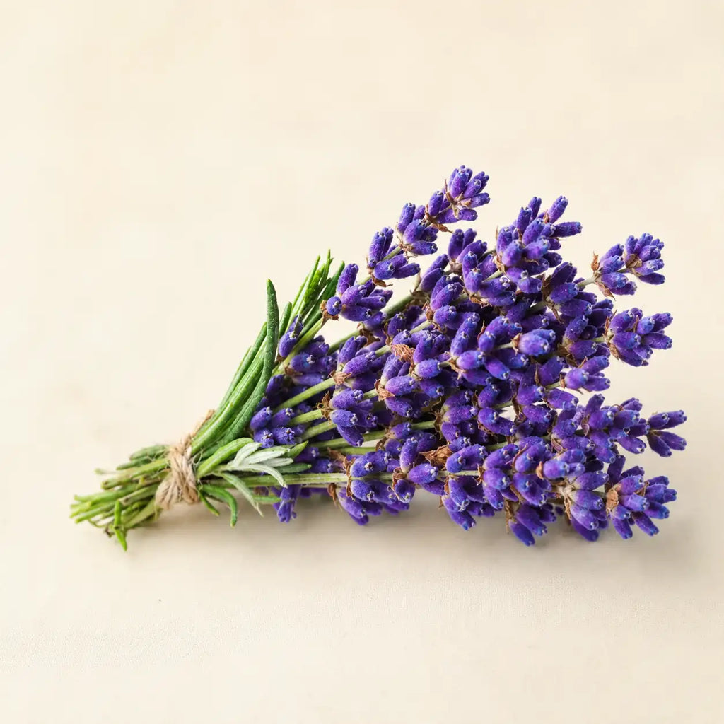 PREMIUM LAVENDER ESSENTIAL OIL AVAILABLE IN INDIA